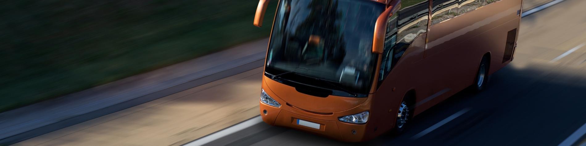 bant_typ_busreizen.jpg