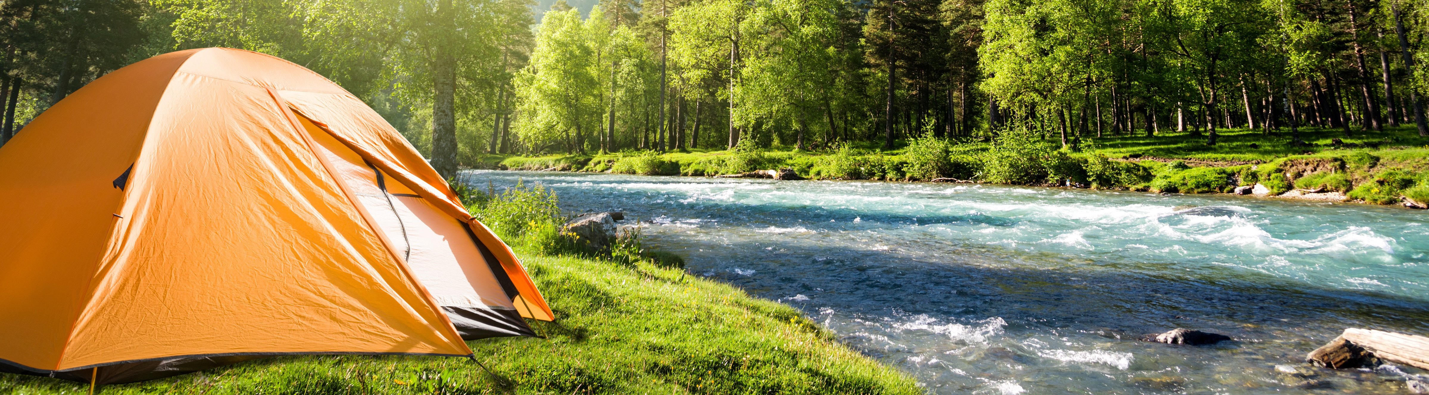 bant_typ_campingaanbieders